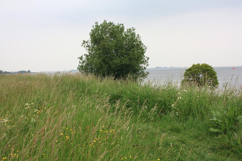104-Per Volendam,1 giugno 2010.JPG
